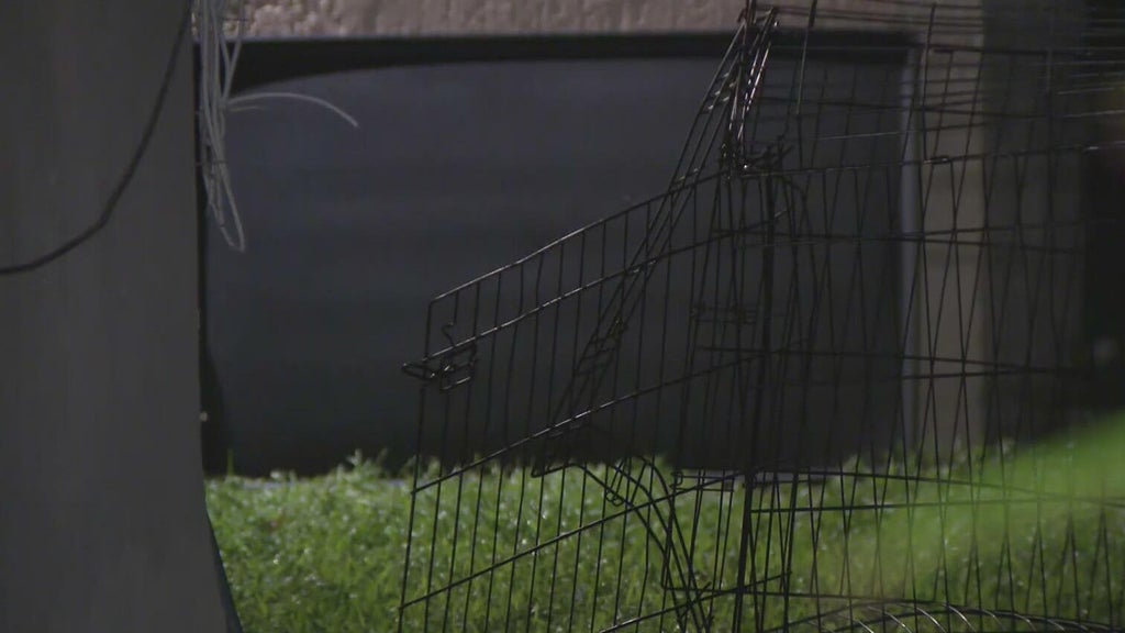 911 call captures frantic report of dog chasing, biting children in Miami — CBS Miami, Conroe Health news