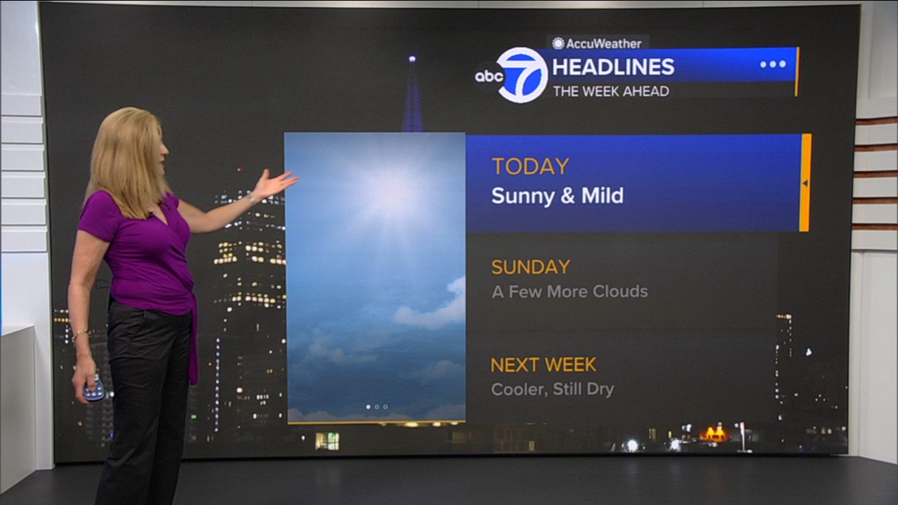 AccuWeather Forecast: Sunny and mild
       — ABC 7 Bay Area, Conroe Community news