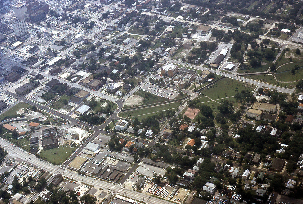 THE JAXSON | The oak tree that remembers Black Bottom — Jacksonville Today, Conroe Schools news